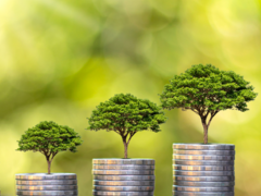 Förderung und Finanzierung