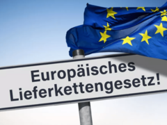 Bild von: nhkama - stock.adobe.com